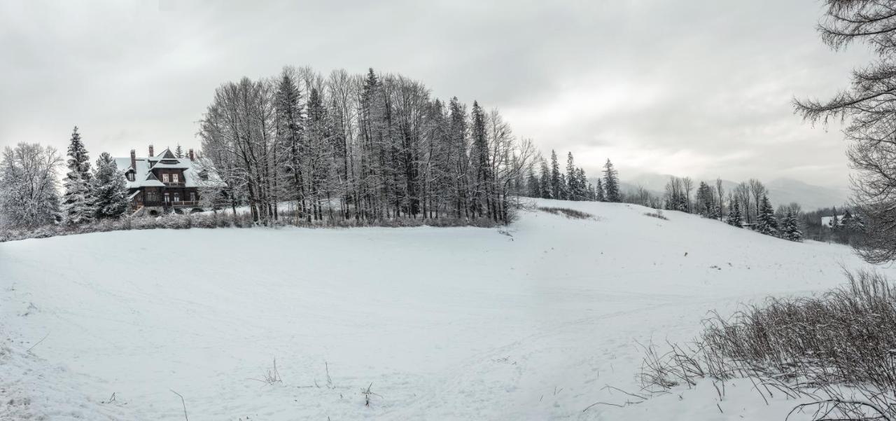 Zakoznami- Willa Wywczas Zakopane Exteriér fotografie